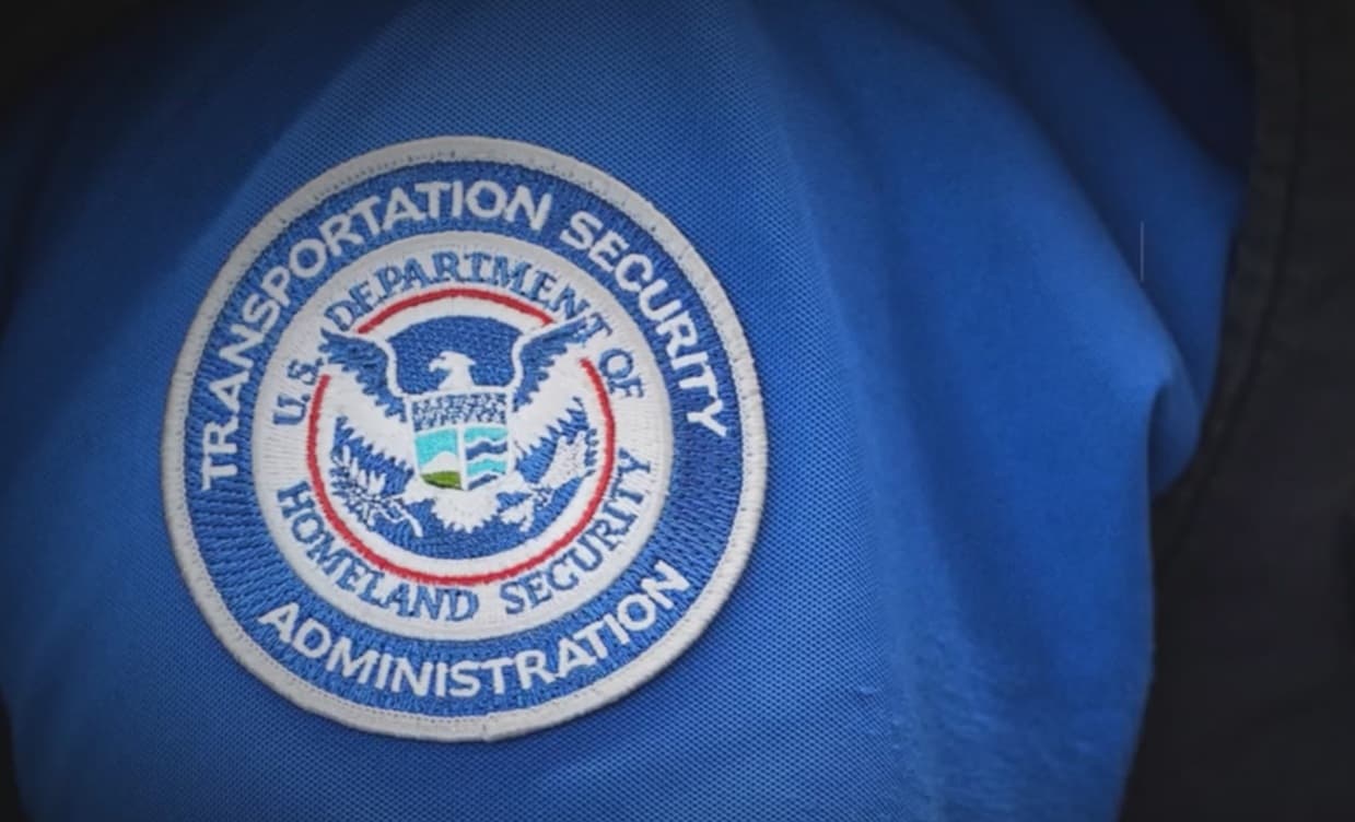 ICE начнет работать в аэропортах США вместо сотрудников DHS