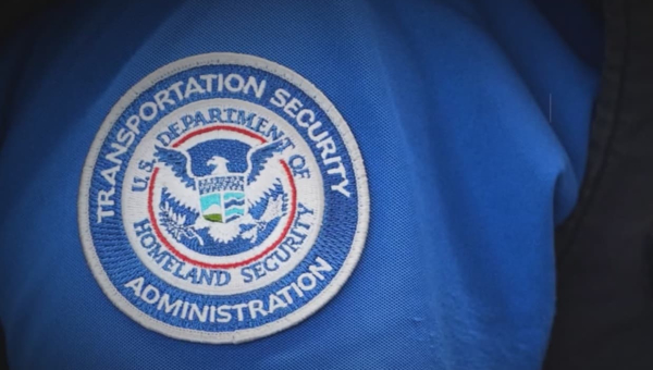 ICE начнет работать в аэропортах США вместо сотрудников DHS