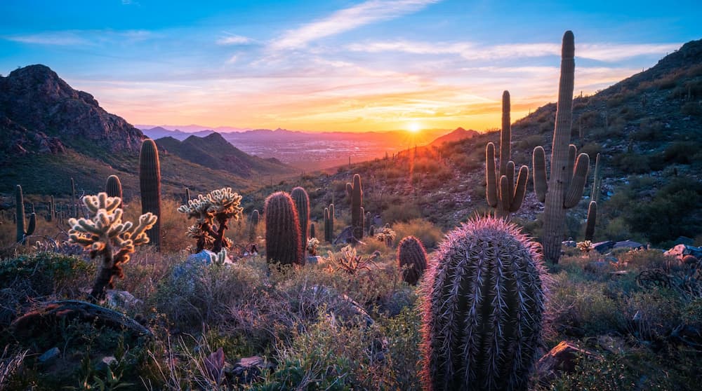 Scottsdale Arizona