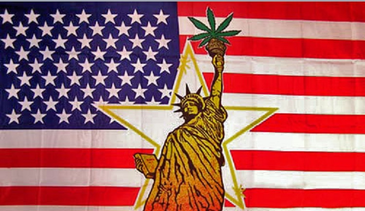 Марихуана в США